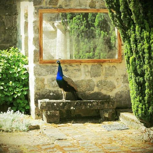 Bed and Breakfast Domaine De Frevent Echouboulains Exterior foto